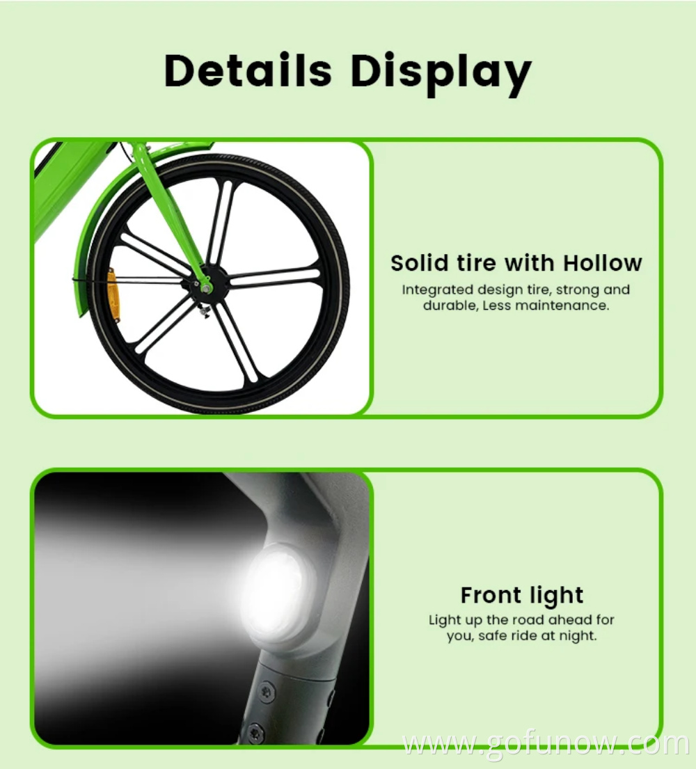 Gofunow Electric Bikes for Rental(10)